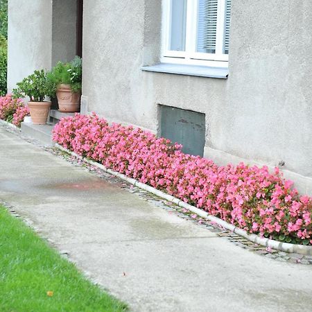 Studio Apartman D&D Varaždin Zewnętrze zdjęcie
