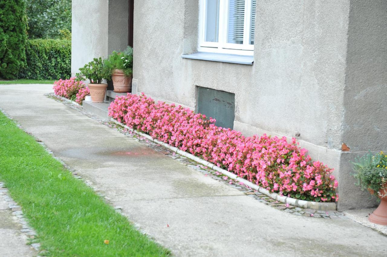 Studio Apartman D&D Varaždin Zewnętrze zdjęcie